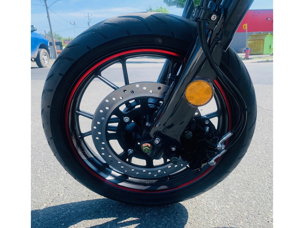 Apollo Motors Kolter 2024