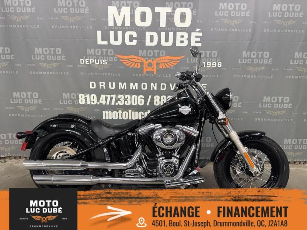 Harley-Davidson FXDL Dyna Low Rider 2009