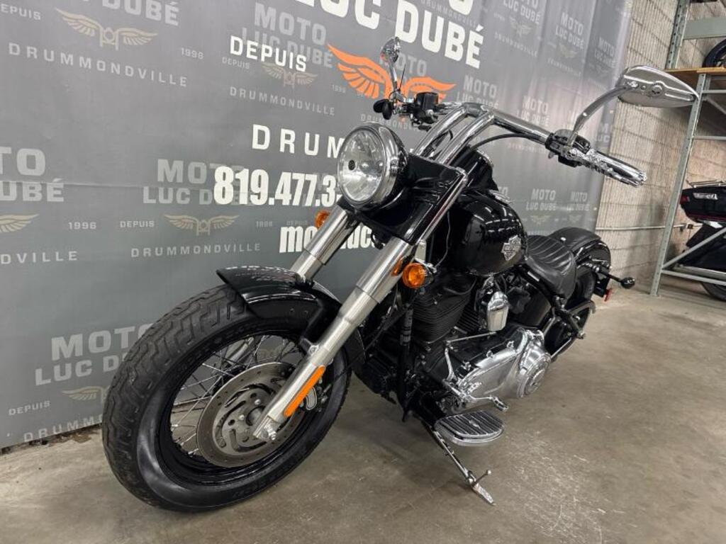 Harley-Davidson FXDL Dyna Low Rider 2009
