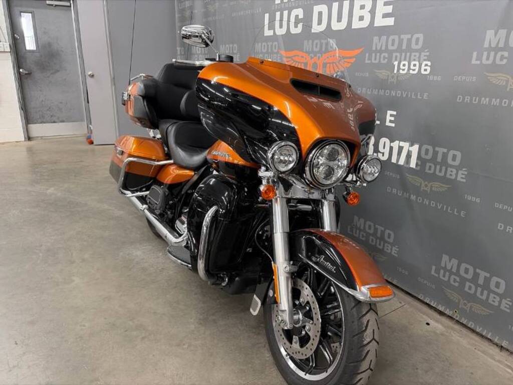 Harley-Davidson FXDL Dyna Low Rider 2009