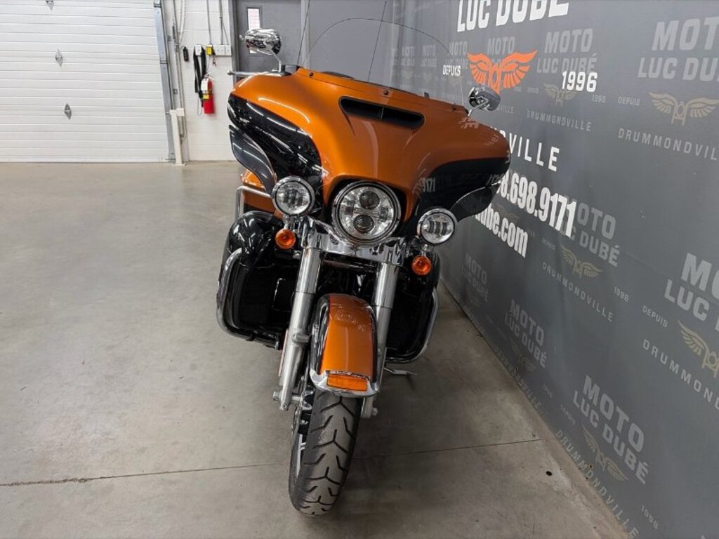 Harley-Davidson FXDL Dyna Low Rider 2009