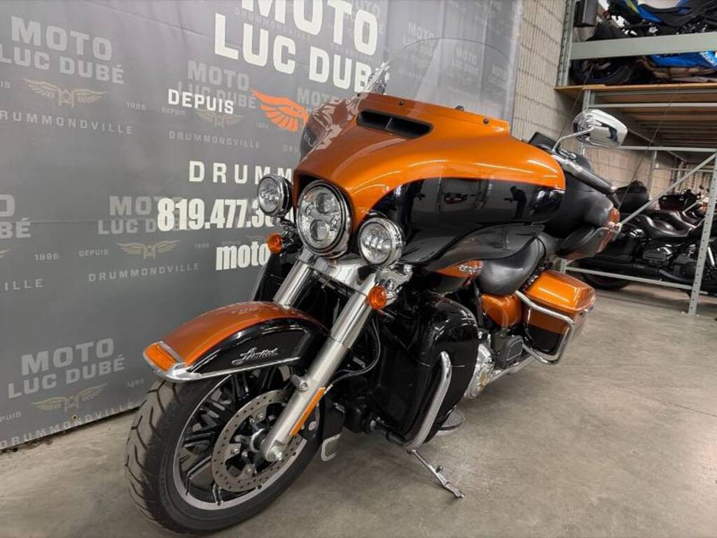 Harley-Davidson FXDL Dyna Low Rider 2009