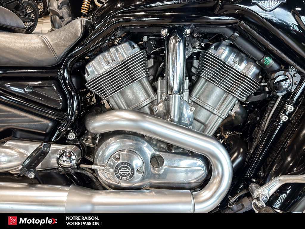 Harley-Davidson VROD MUSCLE VRSCF 2011