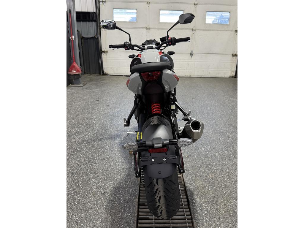 Triumph TRIDENT 800 GRIS 2026
