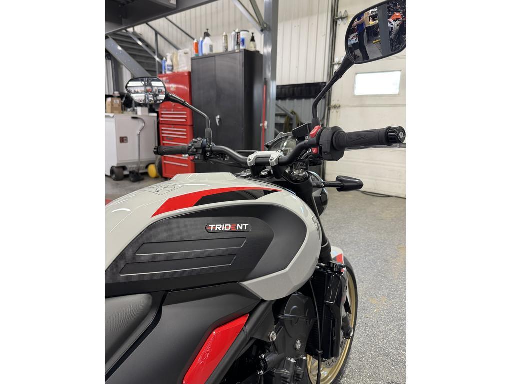 Triumph TRIDENT 800 GRIS 2026
