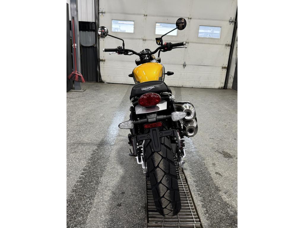 Triumph Scrambler 900 2026