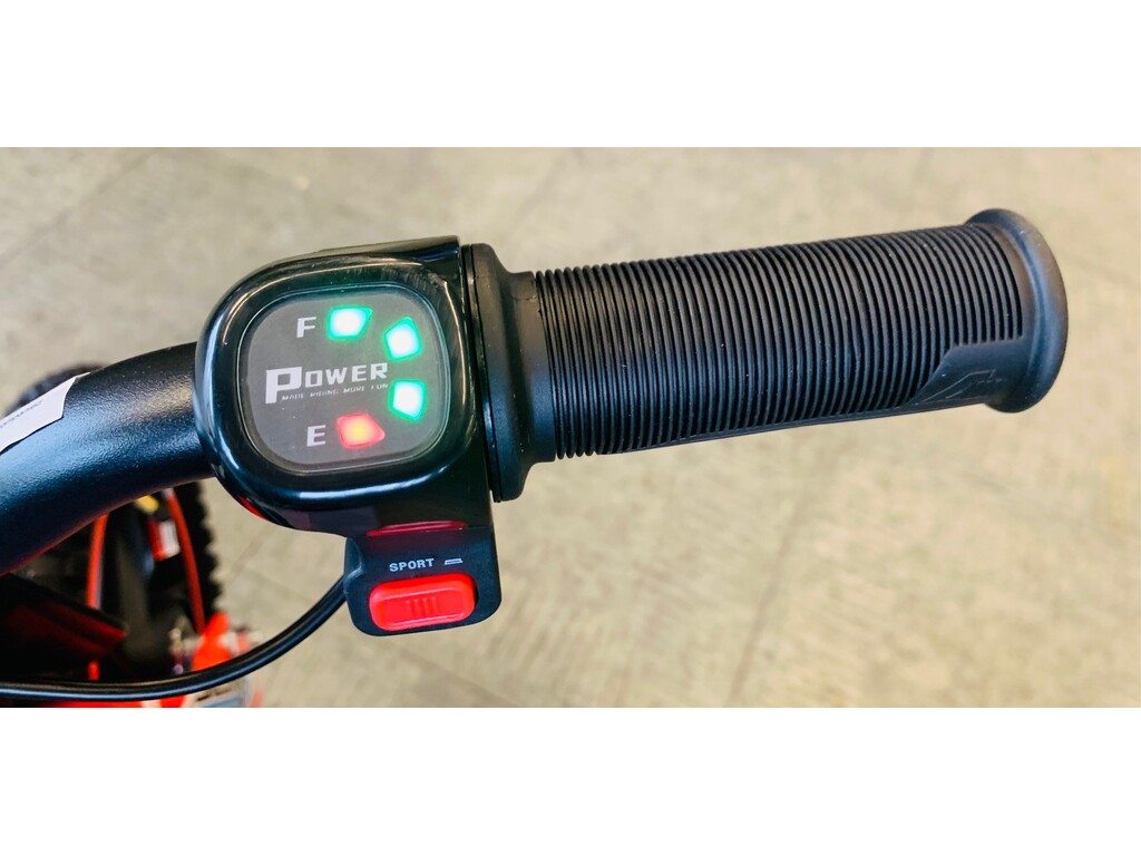 Apollo Motors SEDNA 12 2026