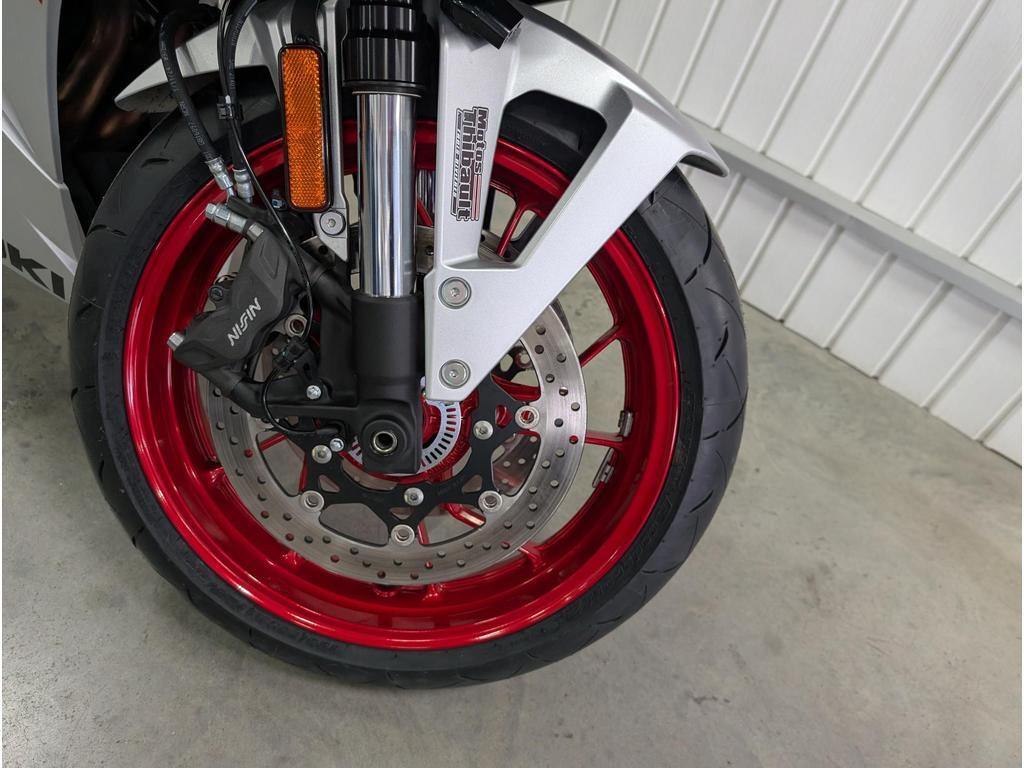 Suzuki GSX-8R 2024