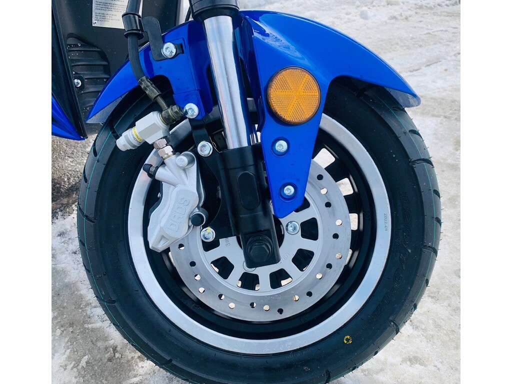 Scootterre AR-50 2024