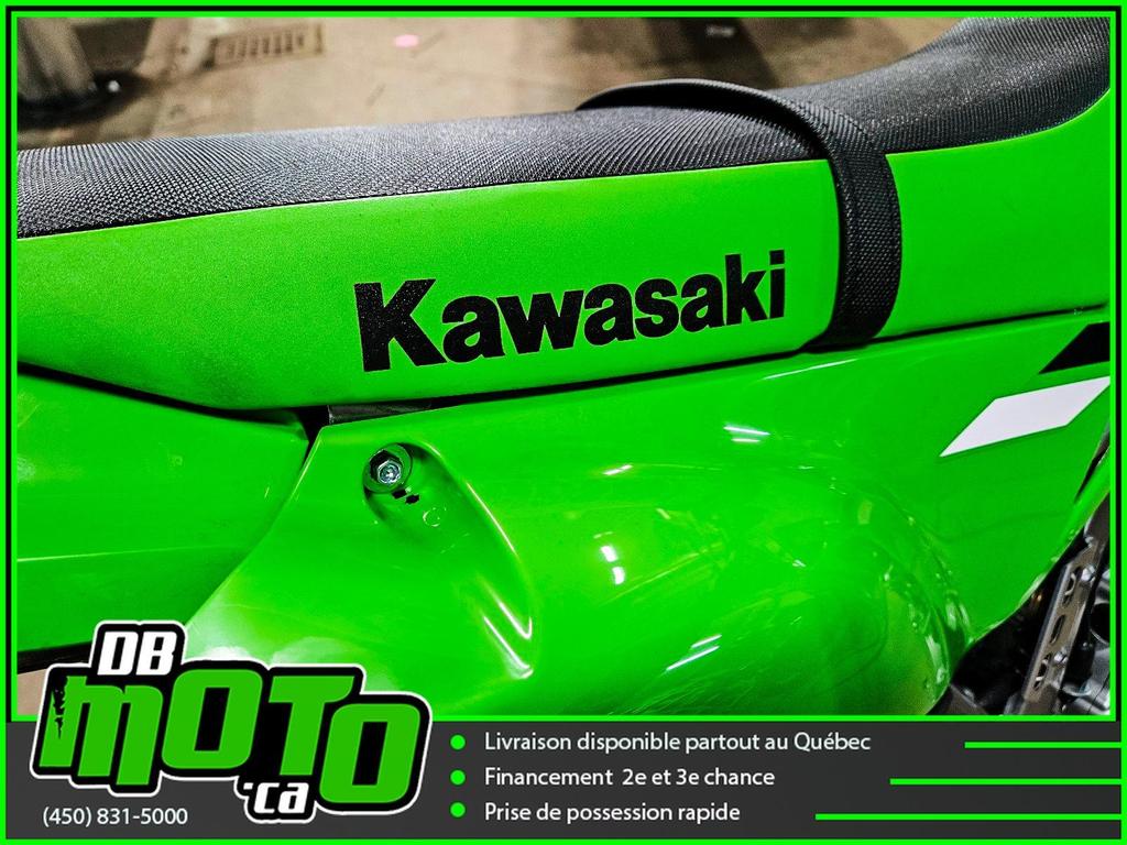 Kawasaki KLX 300 2025
