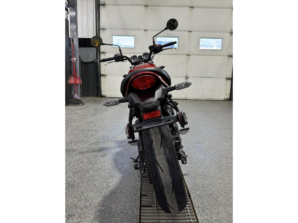 Kawasaki ER65 RS 2024