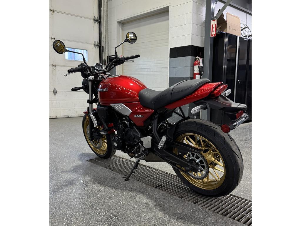 Kawasaki ER65 RS 2024