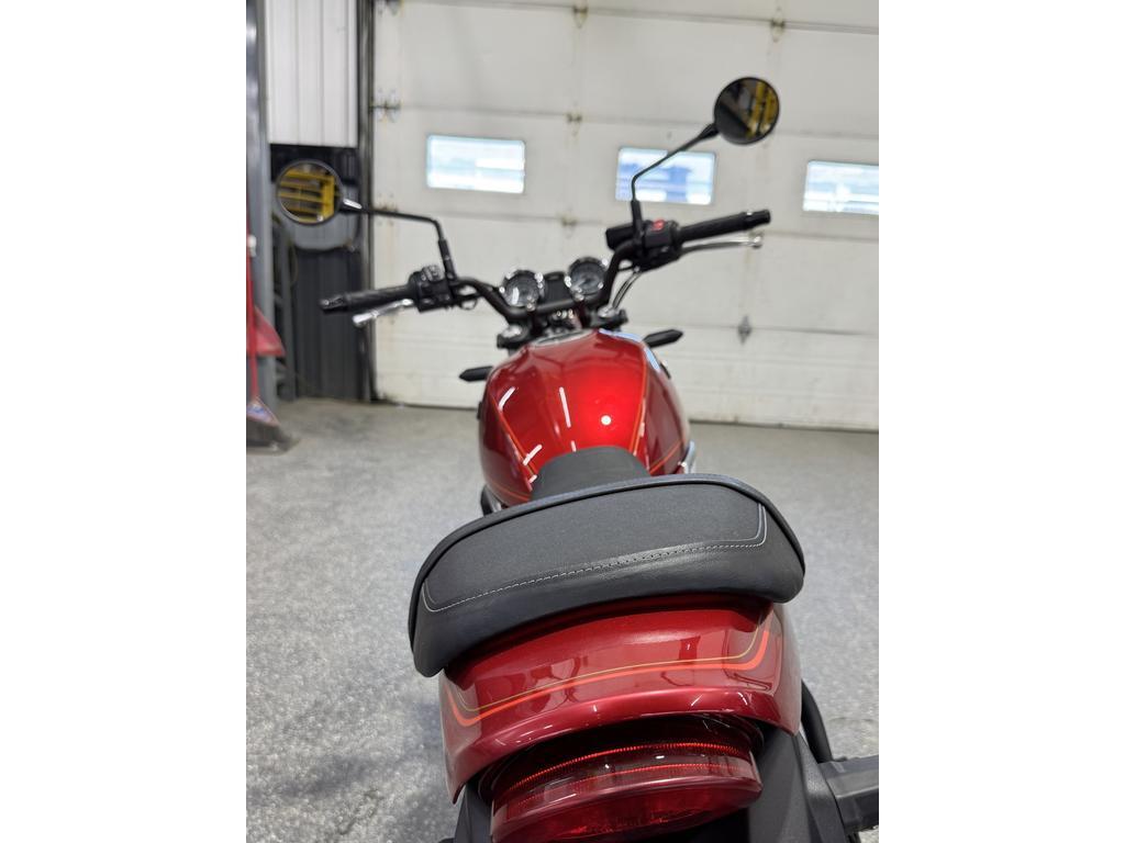 Kawasaki ER65 RS 2024