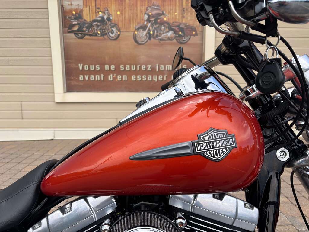 Harley-Davidson Dyna Fat Bob 2011