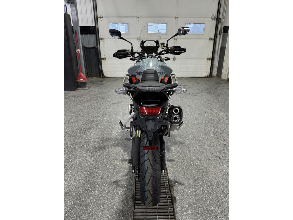 Triumph TIGER 900 DESSERT 2026