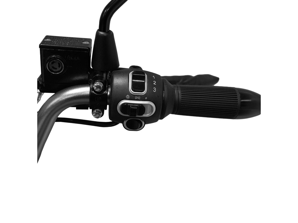 Daymak TECTUS SCOPE 2025
