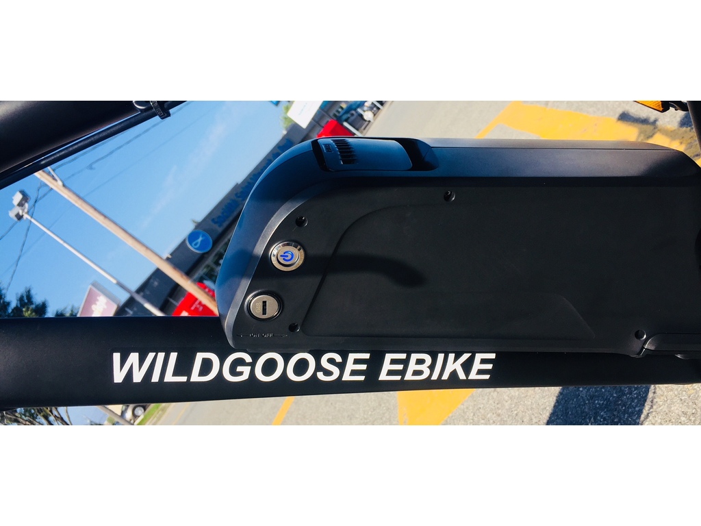 Daymak WILDGOOSE 2024