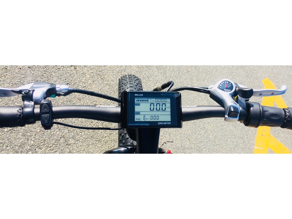 Daymak WILDGOOSE 2024