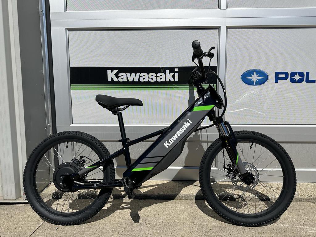 Kawasaki Elektrode 2025