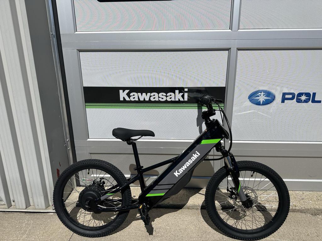 Kawasaki Elektrode 2025