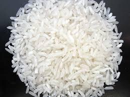 Recherche fournisseur de riz