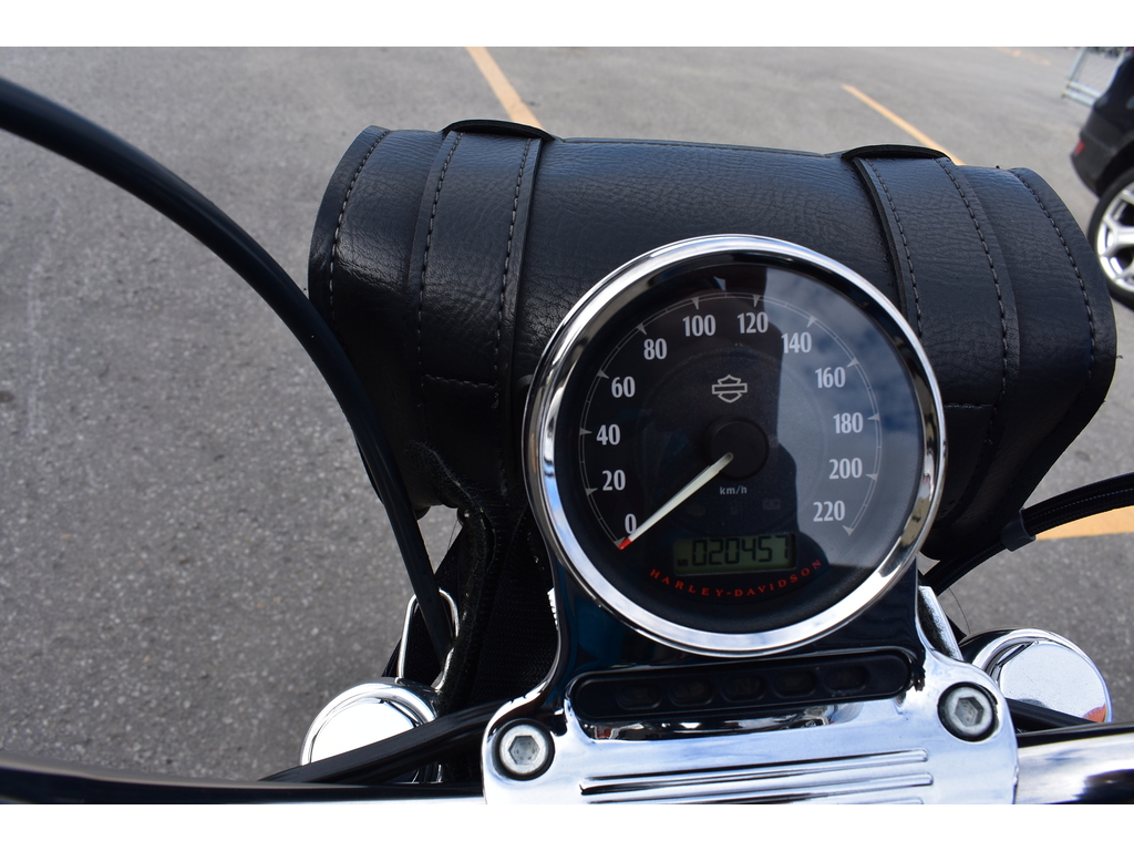Harley-Davidson Sportster XL 1200C 2015